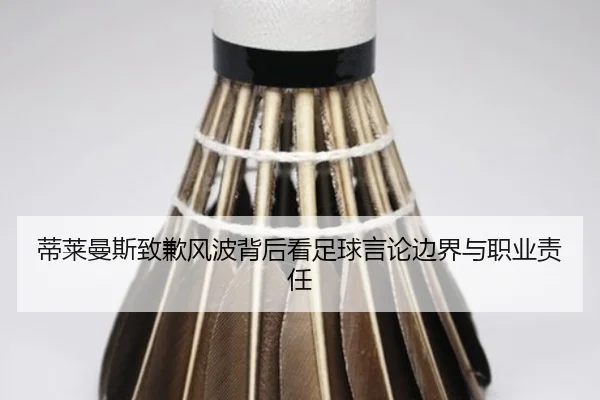 蒂莱曼斯致歉风波背后看足球言论边界与职业责任